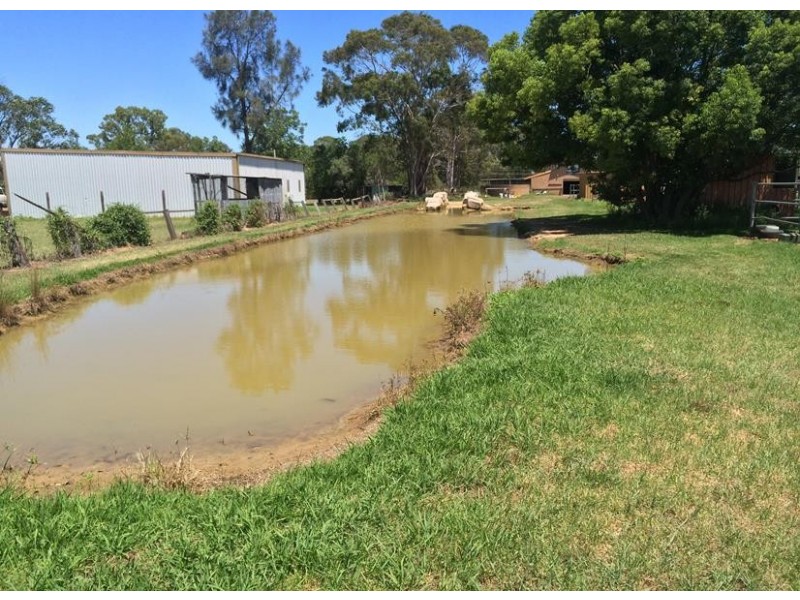 53 Rickaby St, Clarendon NSW 2756