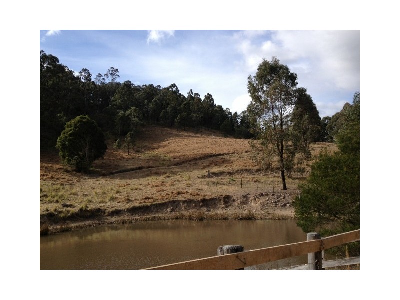 640 Pine Brush Rd, Clarence Town NSW 2321