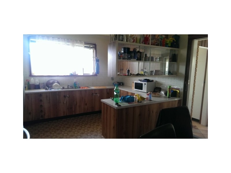 41 Abelard Street, Dungog NSW 2420