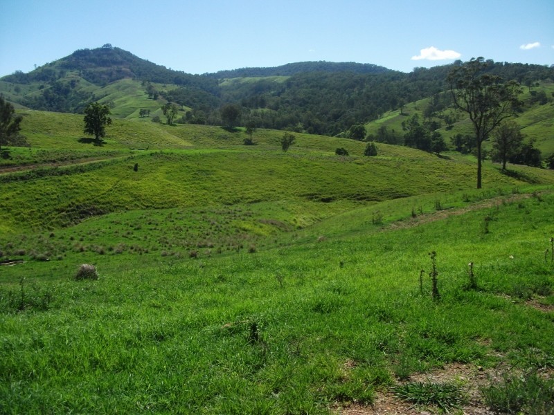 2128 Paterson River Road, Gresford NSW 2311
