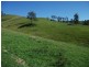 2128 Paterson River Road, Gresford NSW 2311
