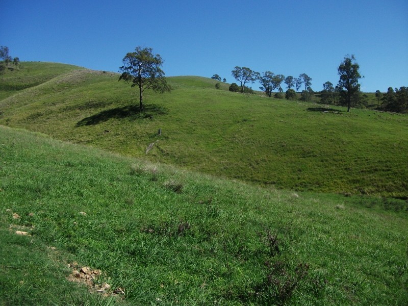 2128 Paterson River Road, Gresford NSW 2311