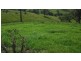 2128 Paterson River Road, Gresford NSW 2311