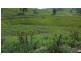 2128 Paterson River Road, Gresford NSW 2311