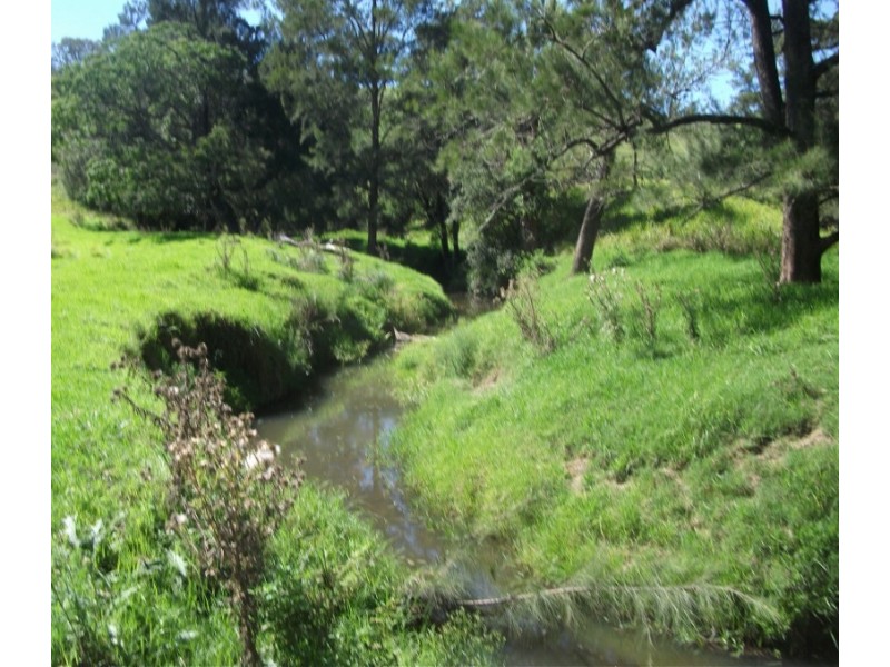 2128 Paterson River Road, Gresford NSW 2311