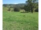 2128 Paterson River Road, Gresford NSW 2311
