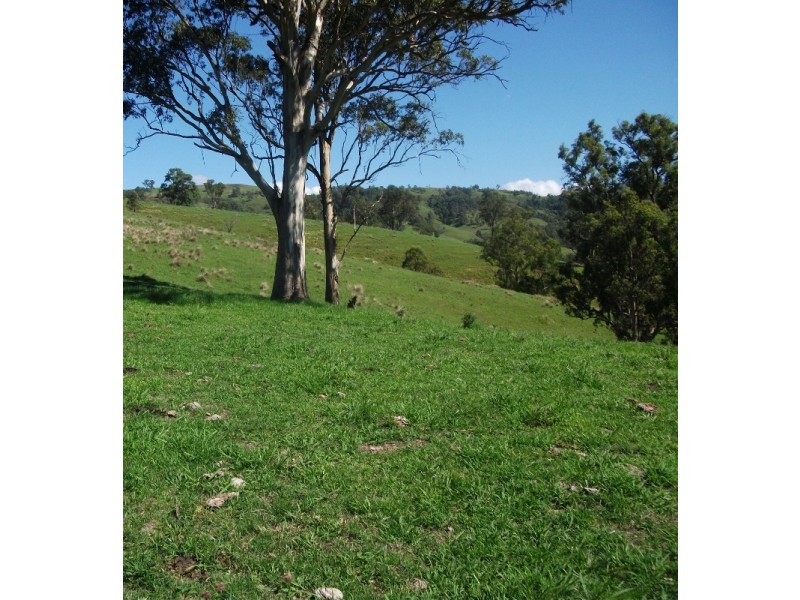 2128 Paterson River Road, Gresford NSW 2311