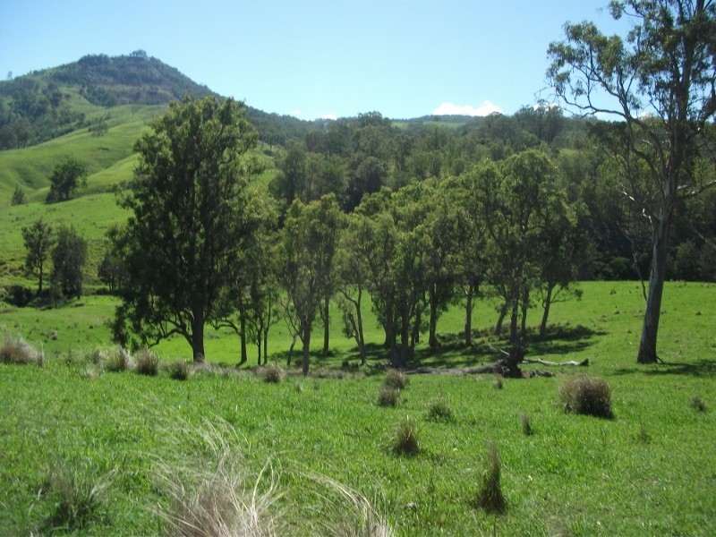 2128 Paterson River Road, Gresford NSW 2311