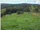 2128 Paterson River Road, Gresford NSW 2311