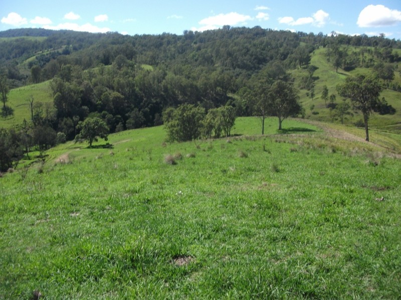 2128 Paterson River Road, Gresford NSW 2311