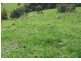 2128 Paterson River Road, Gresford NSW 2311