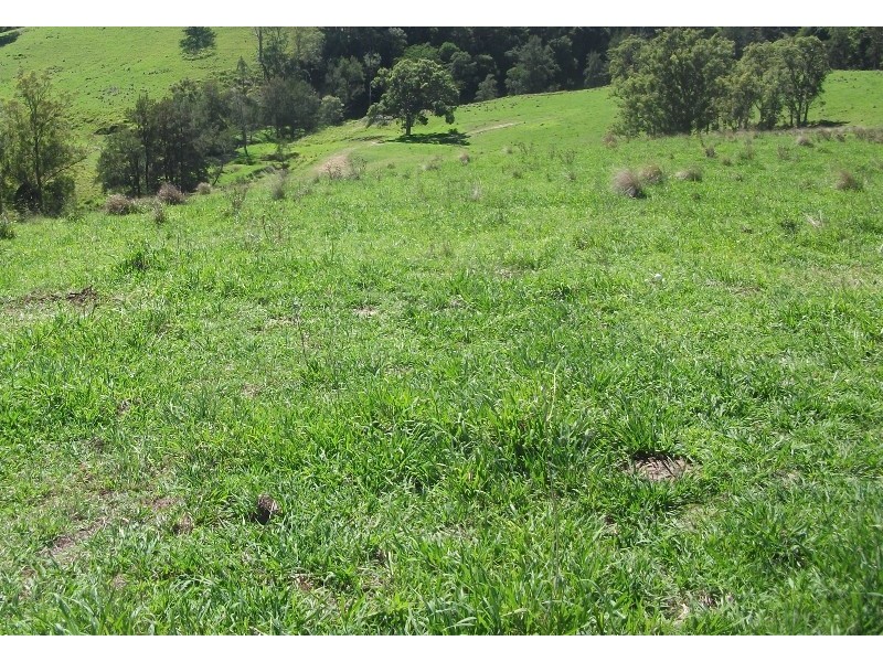 2128 Paterson River Road, Gresford NSW 2311