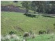 2128 Paterson River Road, Gresford NSW 2311