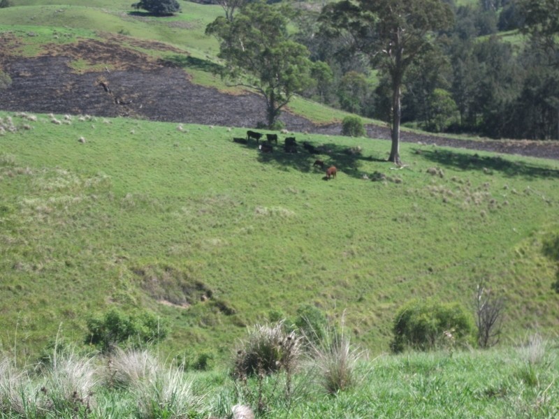 2128 Paterson River Road, Gresford NSW 2311