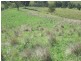 2128 Paterson River Road, Gresford NSW 2311