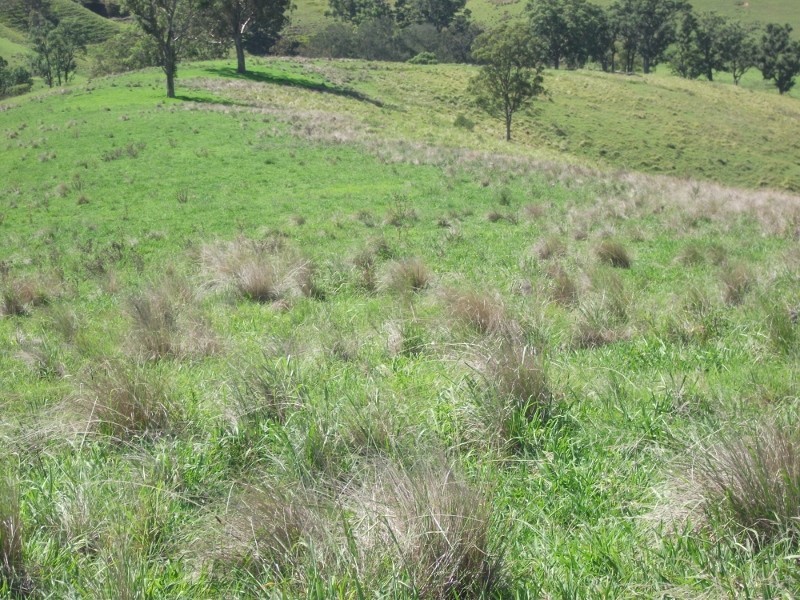 2128 Paterson River Road, Gresford NSW 2311