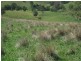 2128 Paterson River Road, Gresford NSW 2311