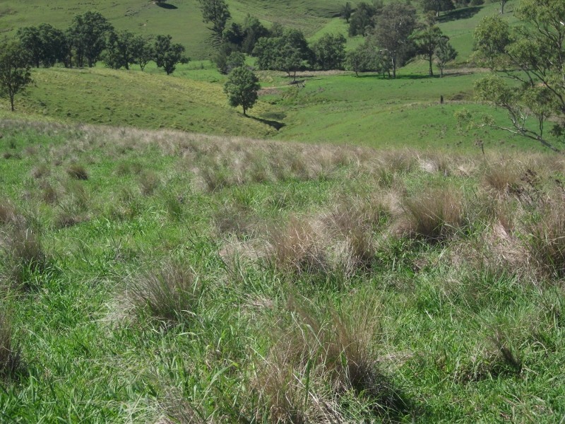 2128 Paterson River Road, Gresford NSW 2311