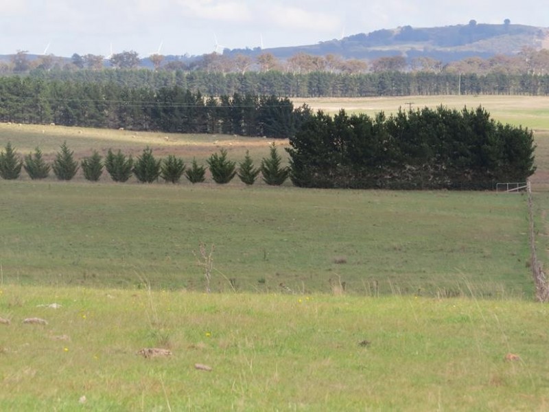 3554 Mayfield Road, Tarago NSW 2580