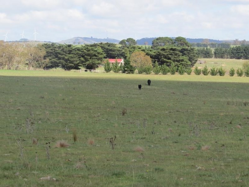 3554 Mayfield Road, Tarago NSW 2580