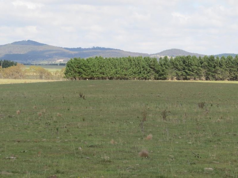 3554 Mayfield Road, Tarago NSW 2580