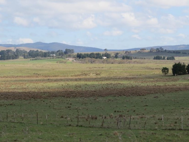 3554 Mayfield Road, Tarago NSW 2580