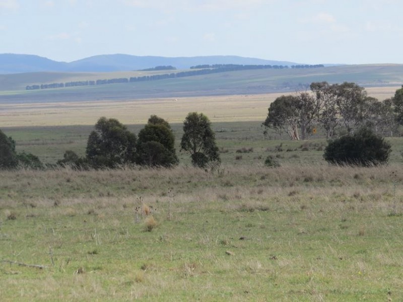 3554 Mayfield Road, Tarago NSW 2580