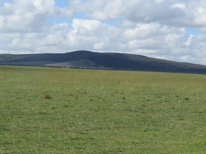 3554 Mayfield Road, Tarago NSW 2580