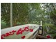 49 Moylans Road, Dungog NSW 2420
