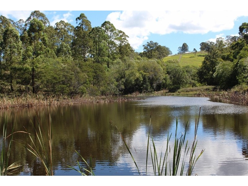 49 Moylans Road, Dungog NSW 2420