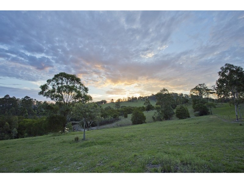 49 Moylans Road, Dungog NSW 2420