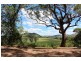 49 Moylans Road, Dungog NSW 2420