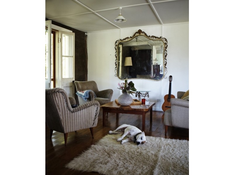 49 Moylans Road, Dungog NSW 2420