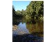 49 Moylans Road, Dungog NSW 2420