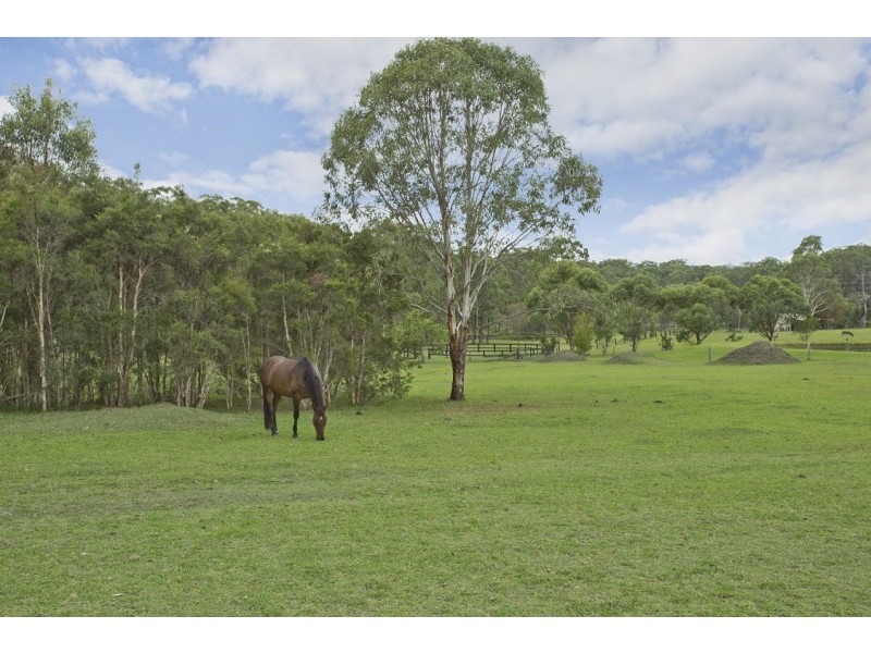 50 Brandy Hill Drive, Brandy Hill NSW 2324