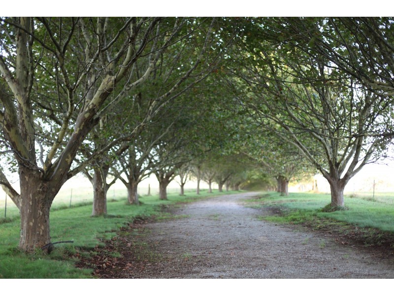 Wildes Meadow NSW 2577