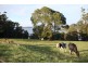 Wildes Meadow NSW 2577