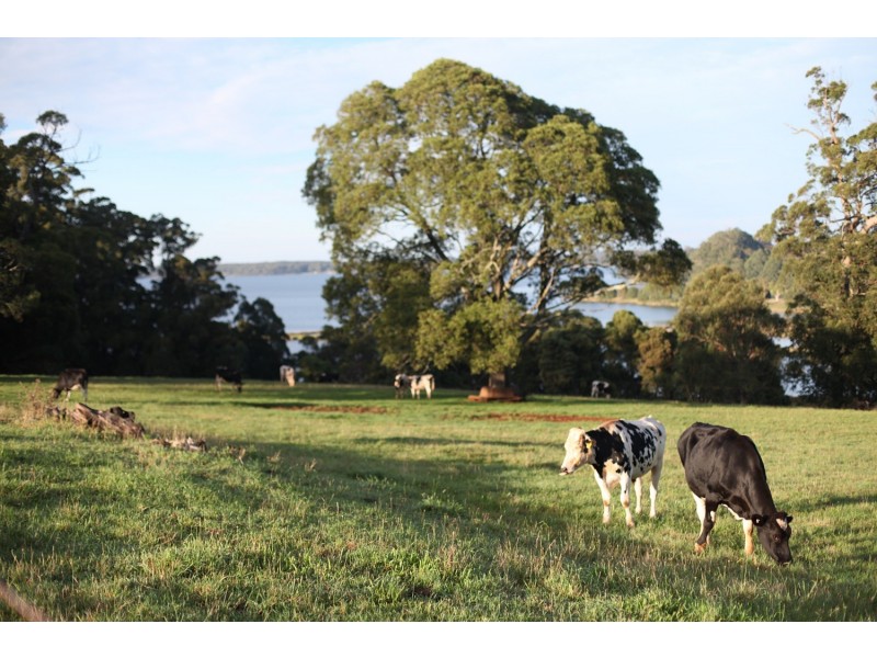 Wildes Meadow NSW 2577