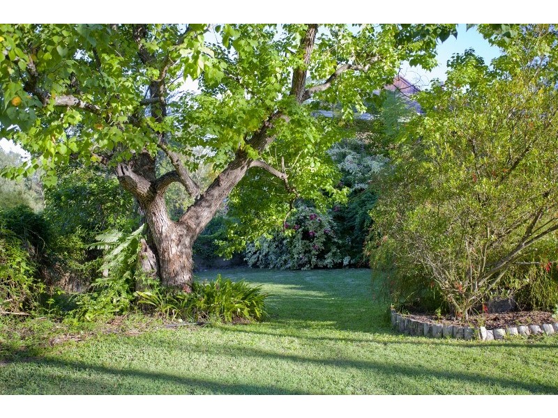 43 Fosterton Road, Dungog NSW 2420