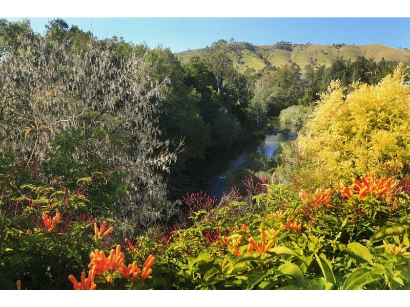 43 Fosterton Road, Dungog NSW 2420