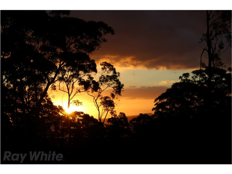 Botanic Ridge Duns Creek Road, Paterson NSW 2421