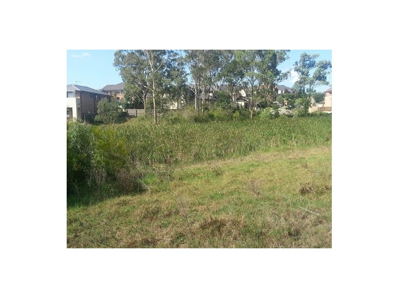 99 Chepstow Drive, Castle Hill NSW 2154