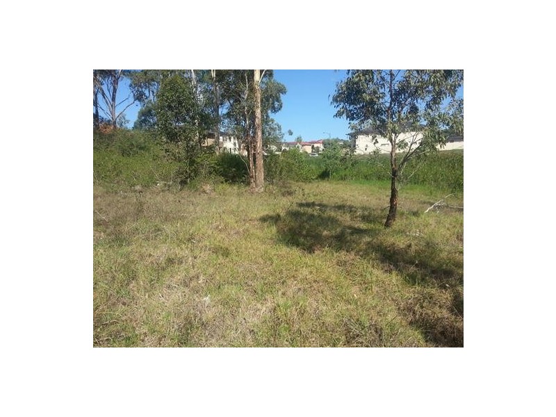 99 Chepstow Drive, Castle Hill NSW 2154