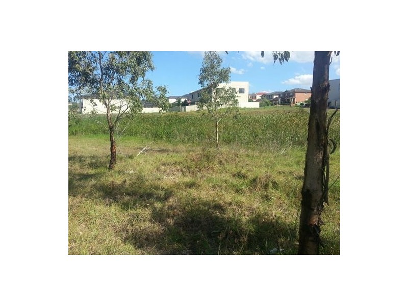 99 Chepstow Drive, Castle Hill NSW 2154