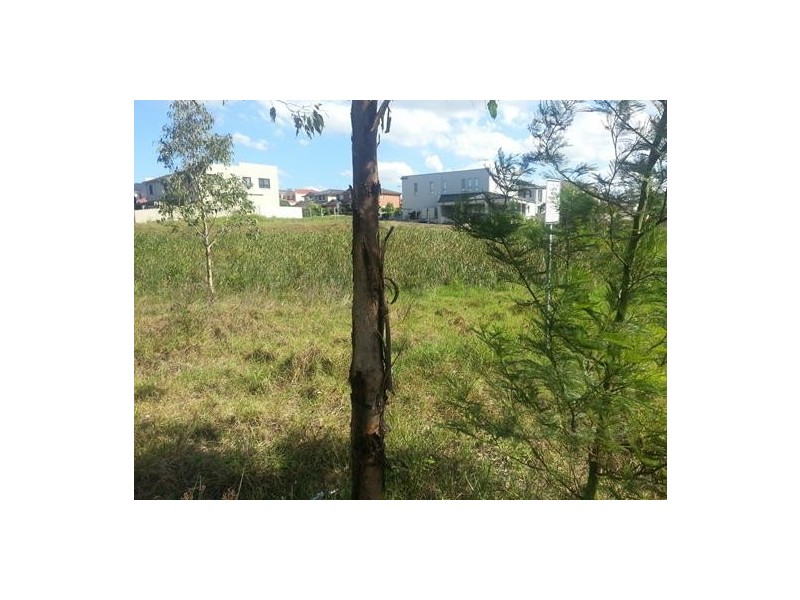 99 Chepstow Drive, Castle Hill NSW 2154