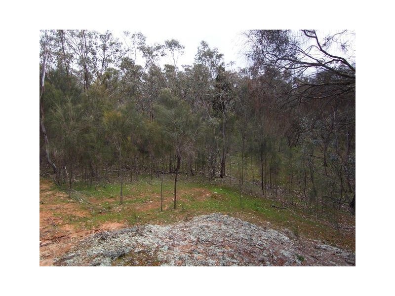 Lot 20 Carinya Estate, Boorowa NSW 2586