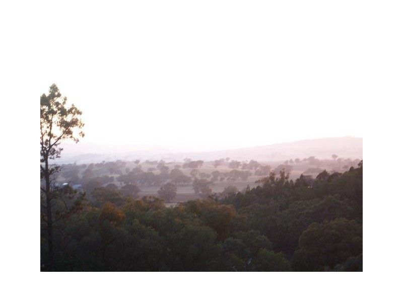 Lot 20 Carinya Estate, Boorowa NSW 2586