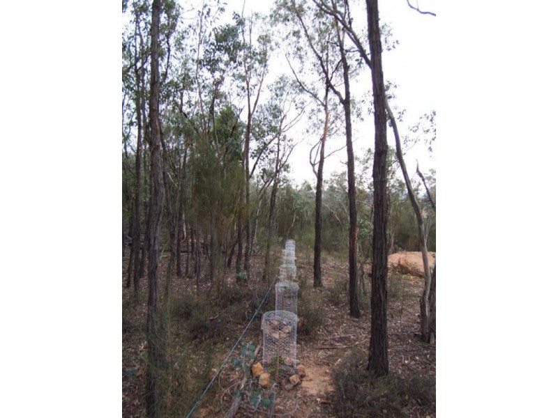 Lot 20 Carinya Estate, Boorowa NSW 2586