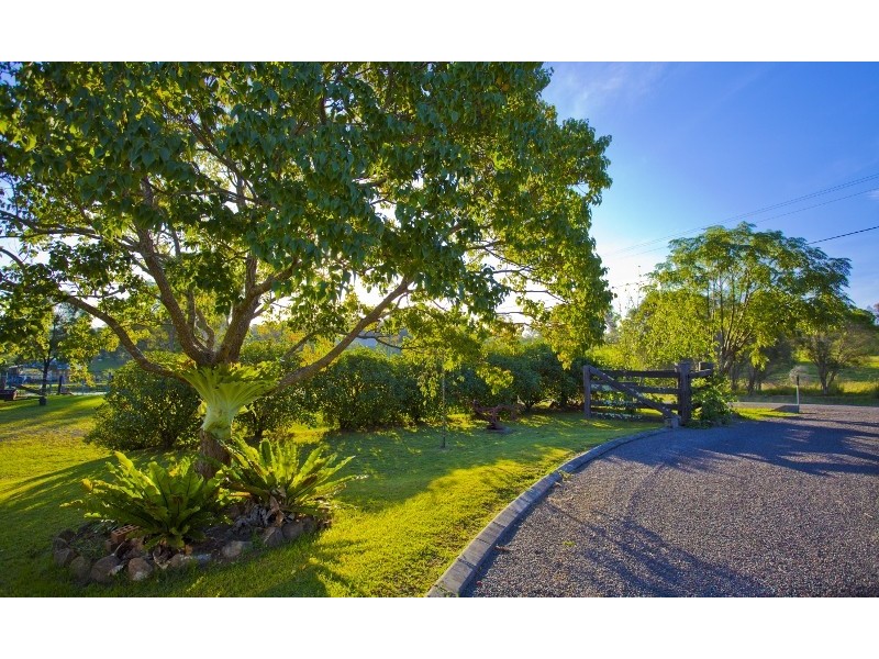 39 Wade Street, Dungog NSW 2420