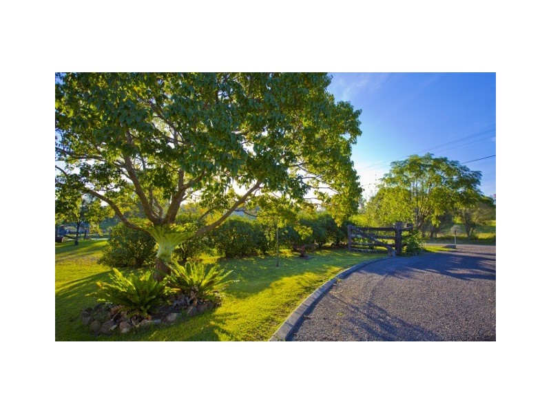 39 Wade Street, Dungog NSW 2420